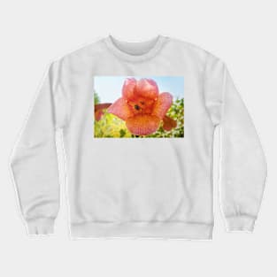 Tecoma wasp Crewneck Sweatshirt